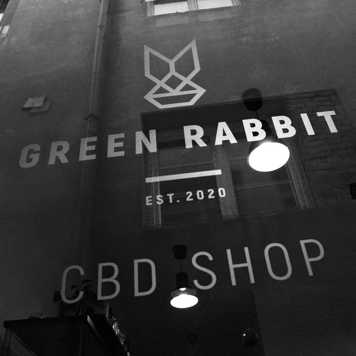 logotyp Green Rabbit